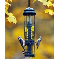 Squirrel Buster pour Suif
